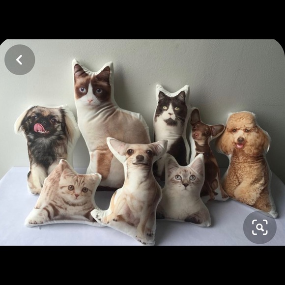 Other - Custom Pet Pillow